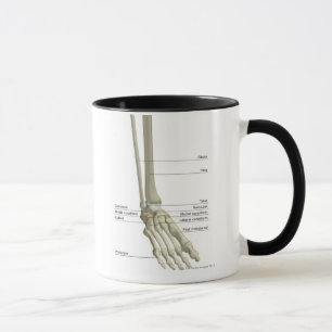 Bones of the Foot 6 Mug