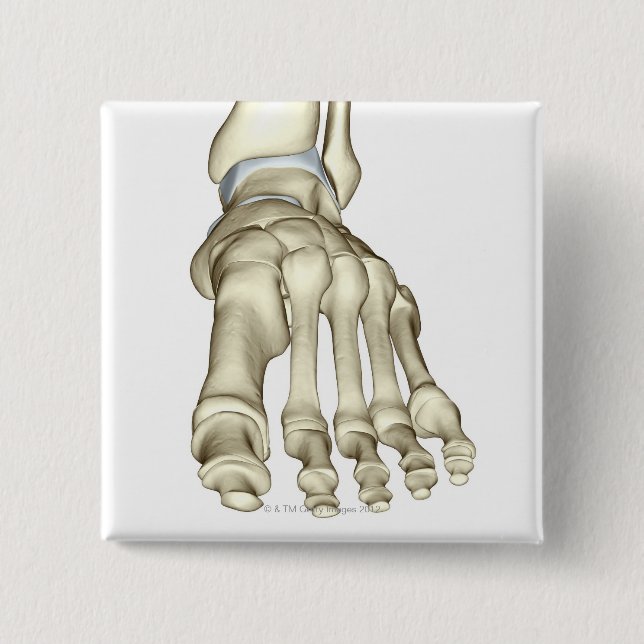 Bones of the Foot 8 15 Cm Square Badge (Front)