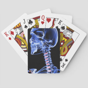 Bones of the Head and Neck 7 Playing Cards