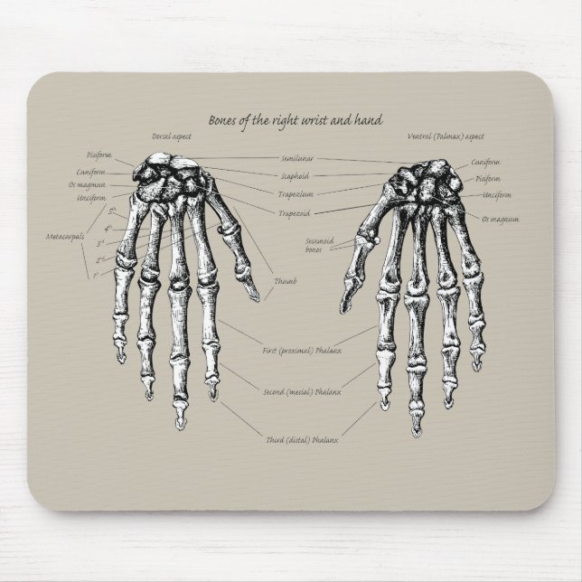 Bones of the human hand mouse mat (Front)