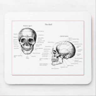 Bones of the human skull mouse mat