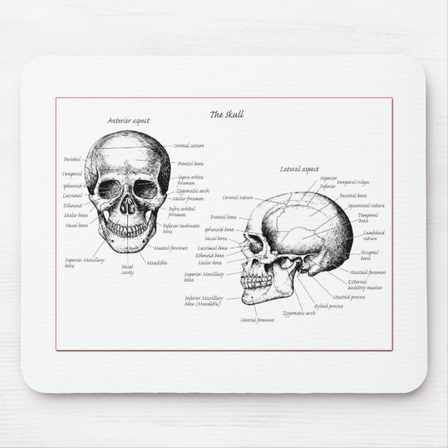Bones of the human skull mouse mat (Front)