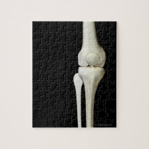 Bones of the Knee 4 Jigsaw Puzzle