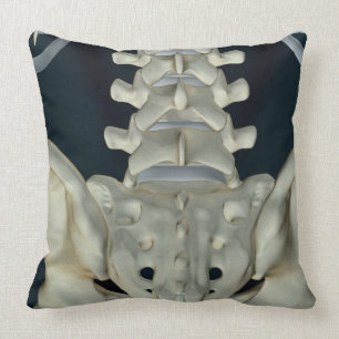 Bones of the Lower Back Cushion