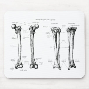 Bones of the Lower Limbs Mouse Mat