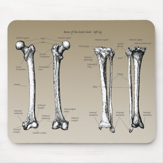 Bones of the lower limbs mouse mat (Front)