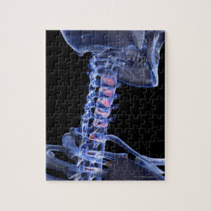 Bones of the Neck 3 Jigsaw Puzzle