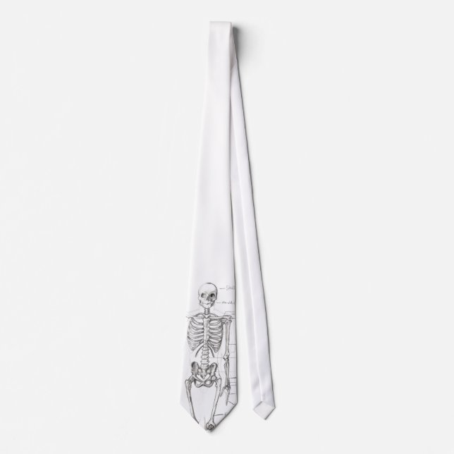 Bones... Tie (Front)