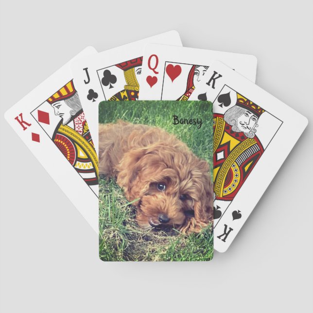 Bonesy Playing Cards (Back)