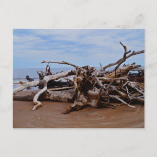 Boneyard Beach Postcard