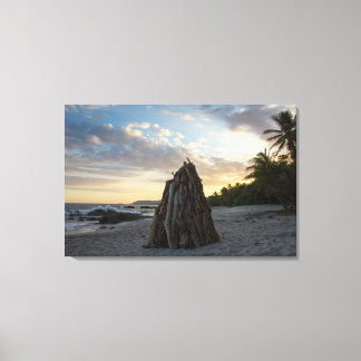 Bonfire In Montezuma Canvas Print