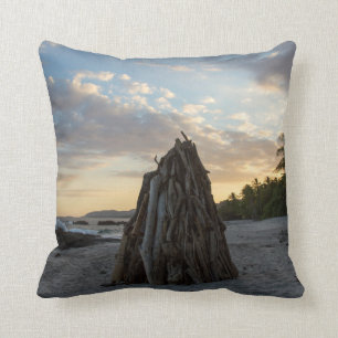 Bonfire In Montezuma Cushion