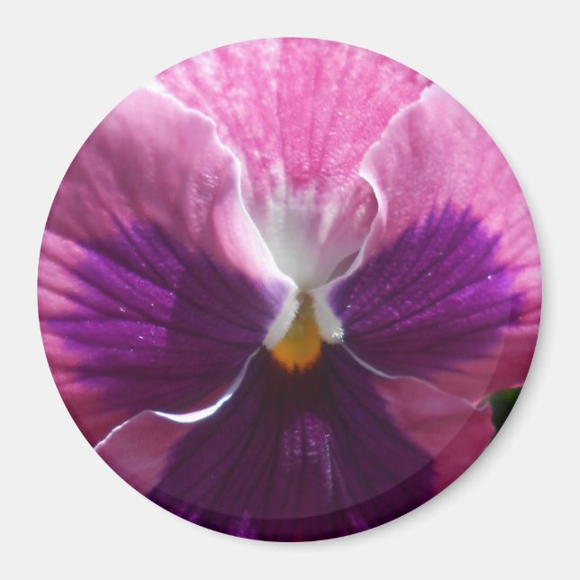 Bonheur Magnet (Front)