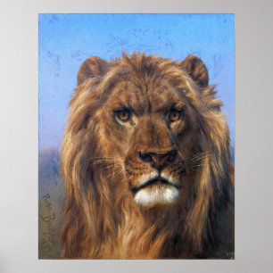 Bonheur - Portrait Of A Lion Poster