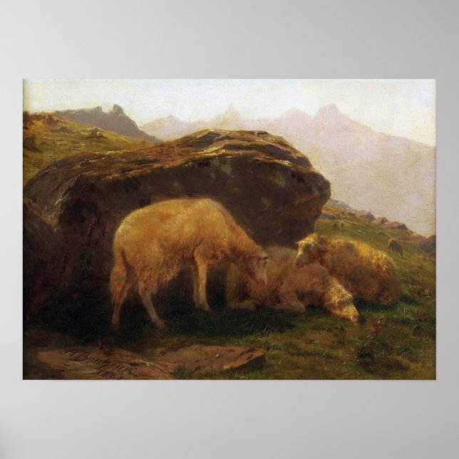 Bonheur - Sheep On A Hill Poster (Front)