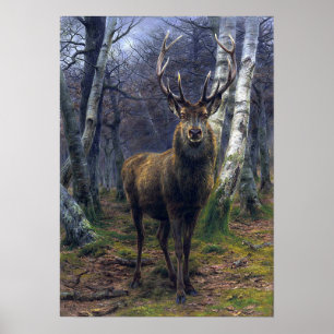 Bonheur - The King Of The Forest Poster