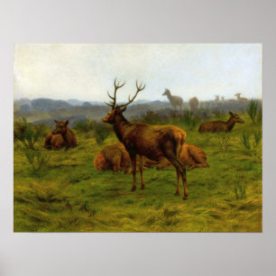 Bonheur - The Monarch Of The Pack Poster