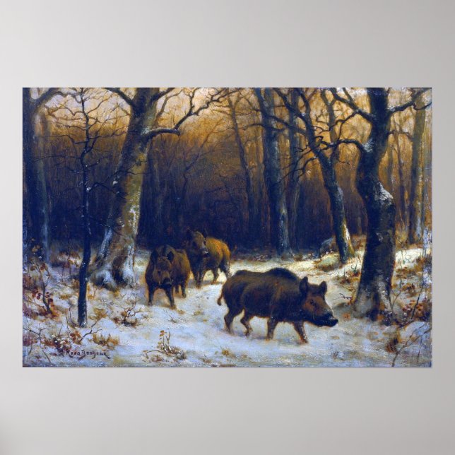 Bonheur - Wild Boars In The Snow Poster (Front)