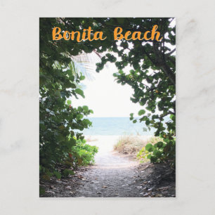 Bonita Beach, Florida beach entrance path photo Postcard