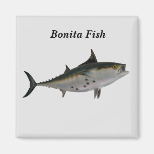 Bonita  Fish Magnet