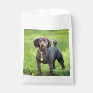 BonJour  Favour Bags