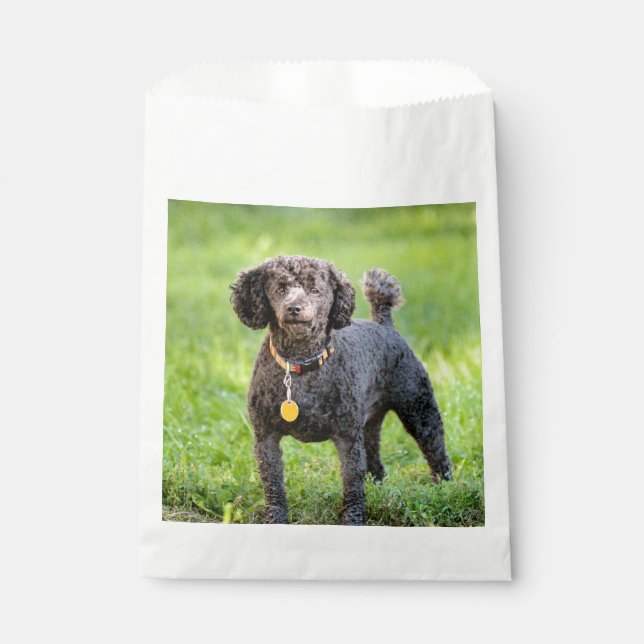 BonJour  Favour Bags (Front)