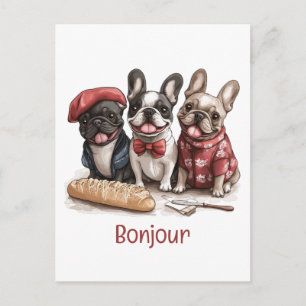 Bonjour French Bulldogs Postcard