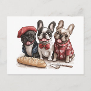 Bonjour French Bulldogs Postcard