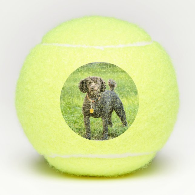 Bonjour Tennis Balls (Front)