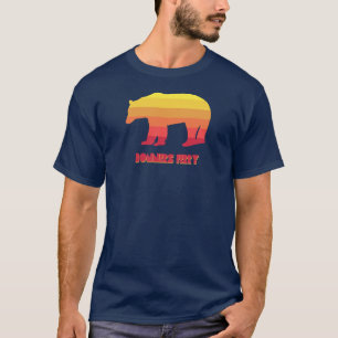 Bonners Ferry Idaho Rainbow Bear T-Shirt