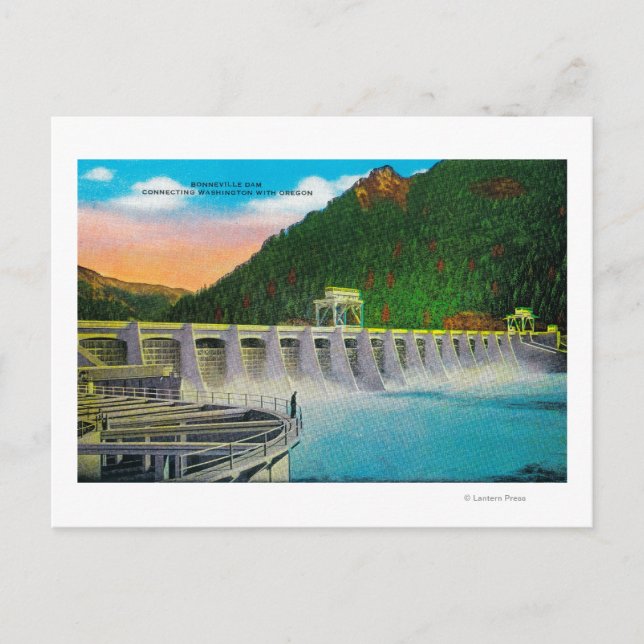Bonneville Dam on Columbia River Postcard (Front)