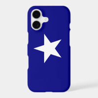 Bonnie Blue Flag