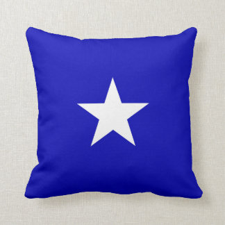Bonnie Blue Flag Cushion