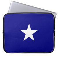 Bonnie Blue Flag