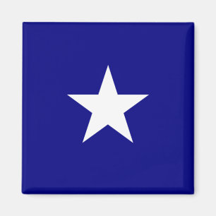 Bonnie Blue Flag Magnet