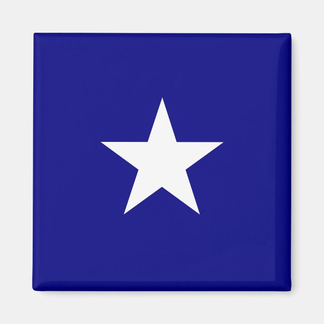 Bonnie Blue Flag Magnet (Front)