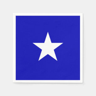 Bonnie Blue Flag Napkin