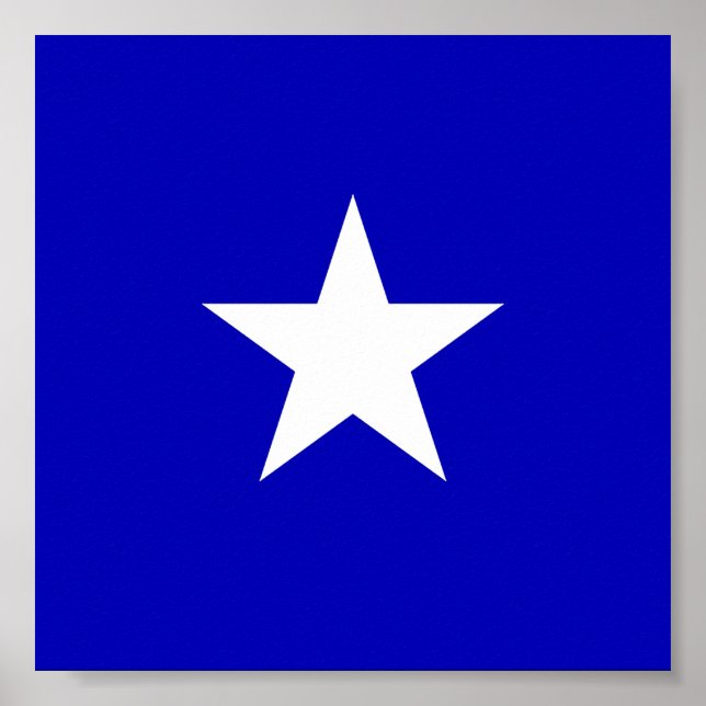 Bonnie Blue Flag Poster (Front)