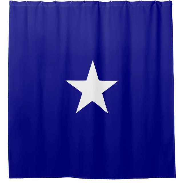 Bonnie Blue Flag Shower Curtain (Front)