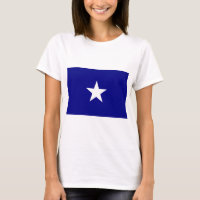 Bonnie Blue Flag