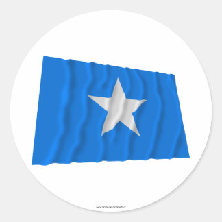 Bonnie Blue Flag / West Florida Republic Flag Classic Round Sticker
