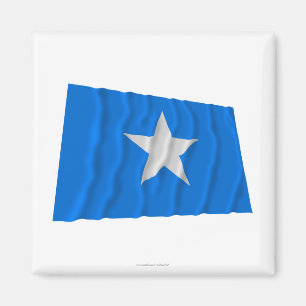 Bonnie Blue Flag / West Florida Republic Flag Magnet