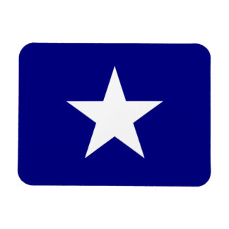 Bonnie Blue Flag White Star Magnet