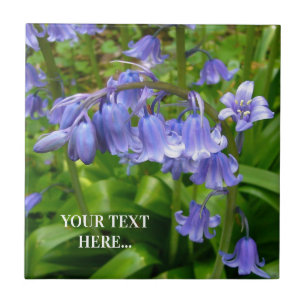 Bonnie Bluebell Tile
