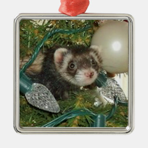 Bonnie in the Tree Christmas Ornament