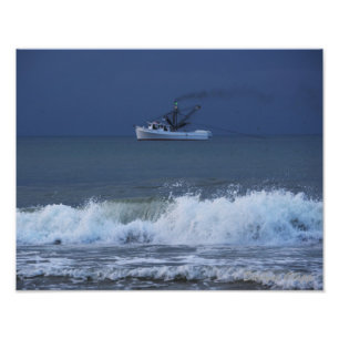 'Bonny Blue' Photo Print