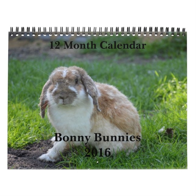 Bonny Bunnies 12 Month Calendar 2016 (Cover)
