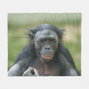 Bonobo Contemplation Fleece Blanket