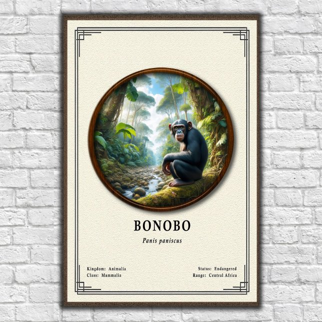 Bonobo Zoology Series Poster (Creator Uploaded)