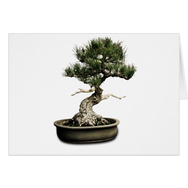 Bonsai (Front Horizontal)